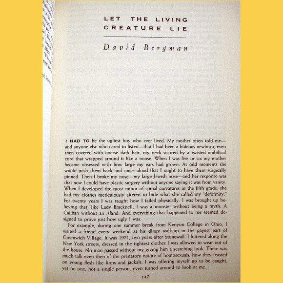 Book - Boys Like Us: Gay Writers Tell Their Coming Out Stories, ed Patrick Merla - Picture 8 of 15